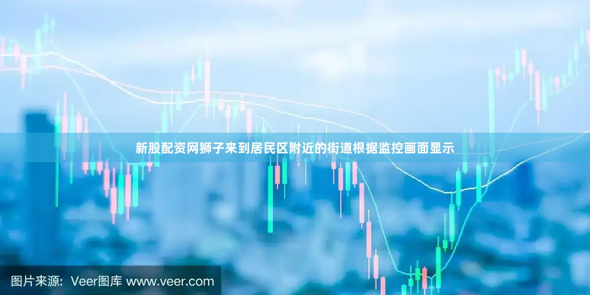 新股配资网狮子来到居民区附近的街道根据监控画面显示