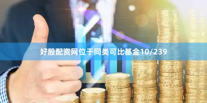 好股配资网位于同类可比基金10/239