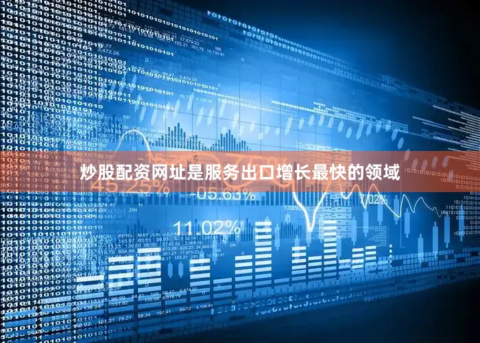 炒股配资网址是服务出口增长最快的领域