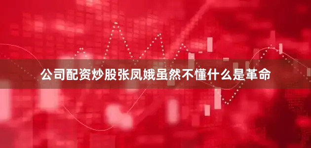 公司配资炒股张凤娥虽然不懂什么是革命