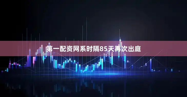 第一配资网系时隔85天再次出庭
